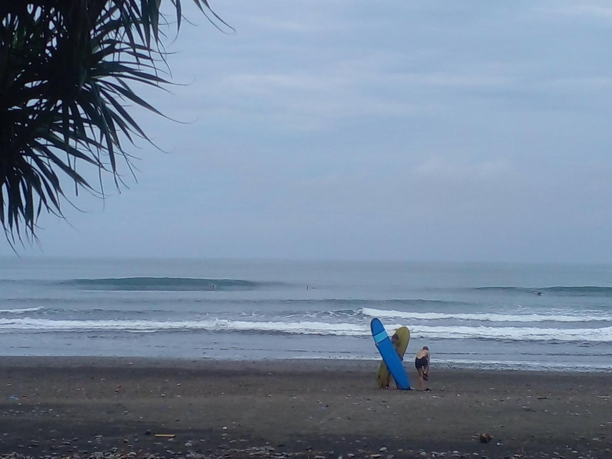 Medewi Good Vibes Stay&Surf Jembrana 外观 照片