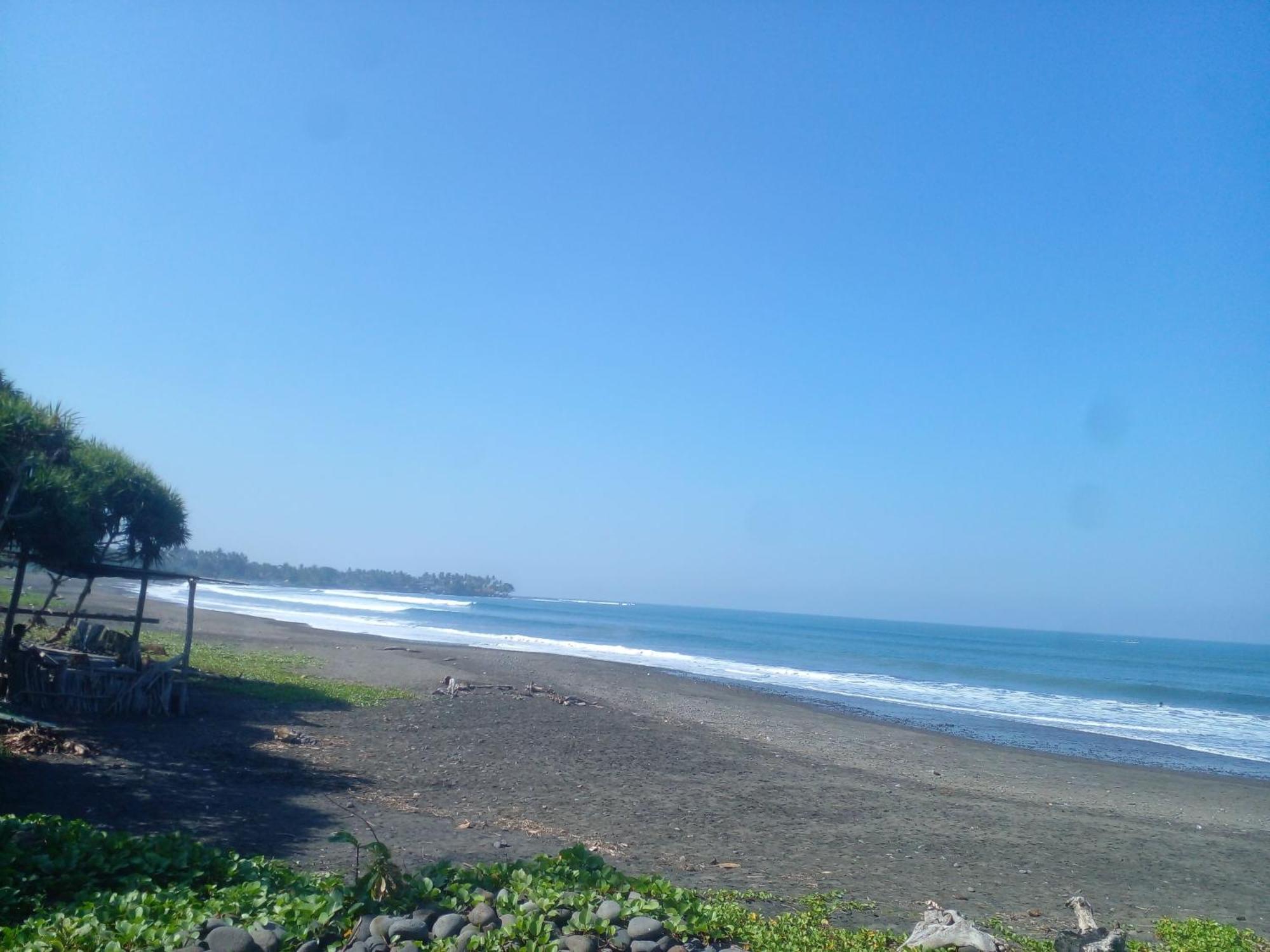 Medewi Good Vibes Stay&Surf Jembrana 外观 照片